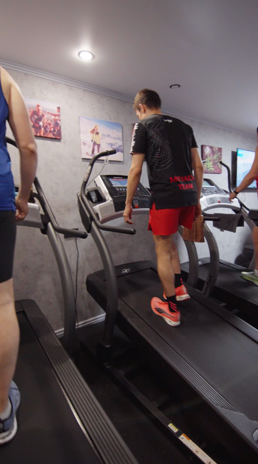 Беговые дорожки